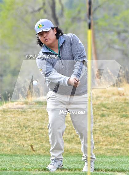 Thumbnail 3 in Los Alamos Golf Invitational photogallery.