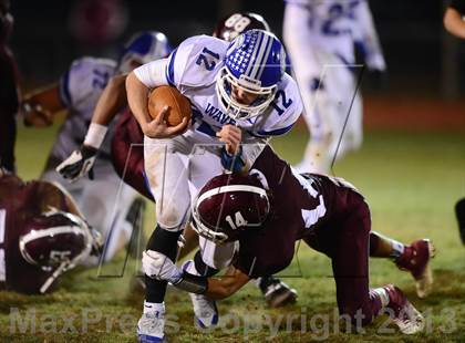 Thumbnail 1 in Darien @ North Haven photogallery.