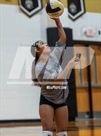 Photo from the gallery "South View @ Gray's Creek"