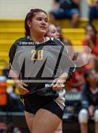 Photo from the gallery "South View @ Gray's Creek"