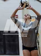 Photo from the gallery "South View @ Gray's Creek"