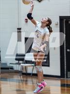 Photo from the gallery "South View @ Gray's Creek"