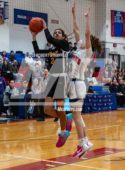 Thumbnail 3 in Plum @ Shaler Area photogallery.