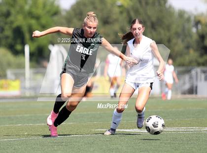 Thumbnail 1 in Kuna @ Eagle photogallery.