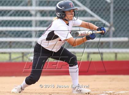 Thumbnail 2 in Troy vs Sonora  photogallery.