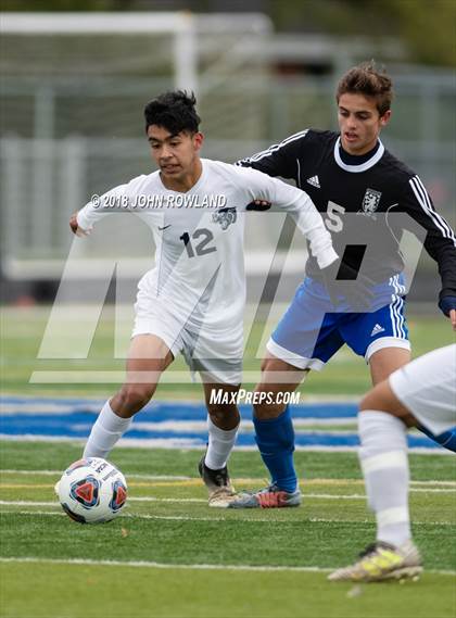 Thumbnail 2 in Lake Zurich vs. Round Lake (IHSA 3A Regional Final) photogallery.