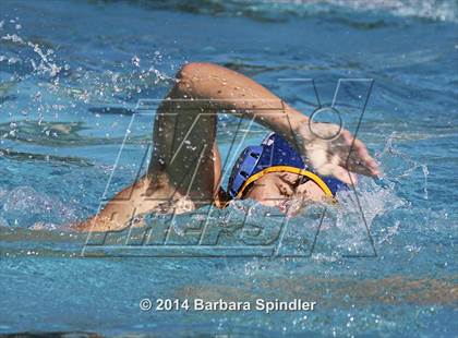 Thumbnail 3 in JV: Pioneer @ Leland photogallery.