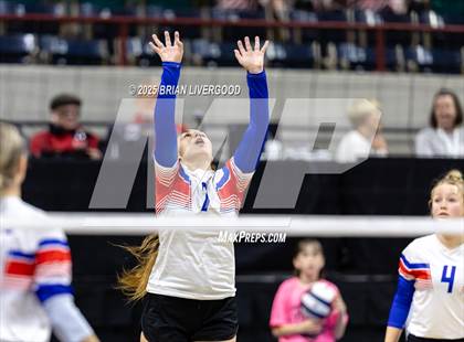 Thumbnail 2 in Sargent vs. Hi-Plains (CHSAA 1A First Round) photogallery.
