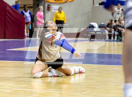 Thumbnail 3 in Sargent vs. Hi-Plains (CHSAA 1A First Round) photogallery.