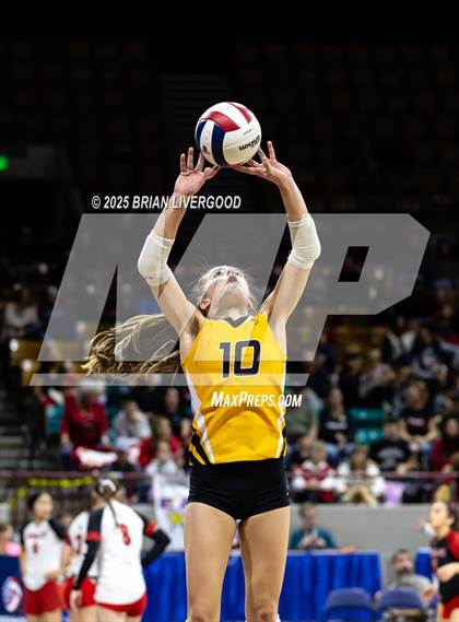 Thumbnail 2 in Sargent vs. Hi-Plains (CHSAA 1A First Round) photogallery.