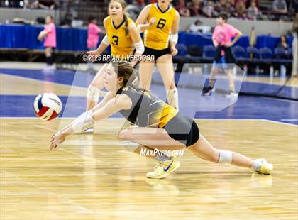 Thumbnail 1 in Sargent vs. Hi-Plains (CHSAA 1A First Round) photogallery.