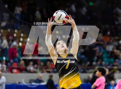 Thumbnail 3 in Sargent vs. Hi-Plains (CHSAA 1A First Round) photogallery.