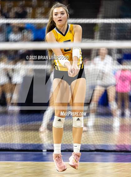 Thumbnail 3 in Sargent vs. Hi-Plains (CHSAA 1A First Round) photogallery.