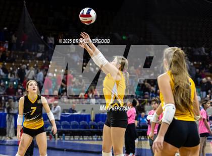 Thumbnail 2 in Sargent vs. Hi-Plains (CHSAA 1A First Round) photogallery.