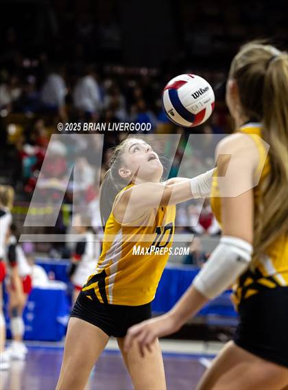 Thumbnail 2 in Sargent vs. Hi-Plains (CHSAA 1A First Round) photogallery.