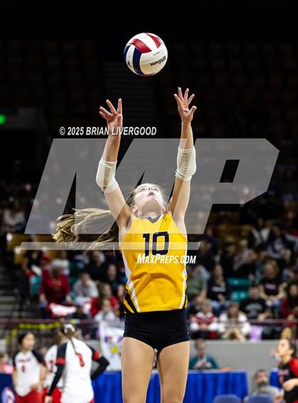 Thumbnail 3 in Sargent vs. Hi-Plains (CHSAA 1A First Round) photogallery.