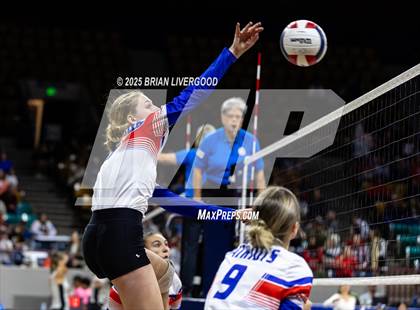 Thumbnail 2 in Sargent vs. Hi-Plains (CHSAA 1A First Round) photogallery.