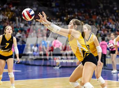 Thumbnail 1 in Sargent vs. Hi-Plains (CHSAA 1A First Round) photogallery.