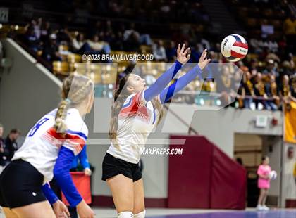 Thumbnail 3 in Sargent vs. Hi-Plains (CHSAA 1A First Round) photogallery.