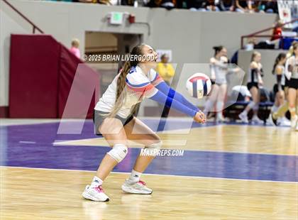 Thumbnail 1 in Sargent vs. Hi-Plains (CHSAA 1A First Round) photogallery.