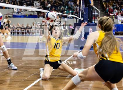 Thumbnail 1 in Sargent vs. Hi-Plains (CHSAA 1A First Round) photogallery.