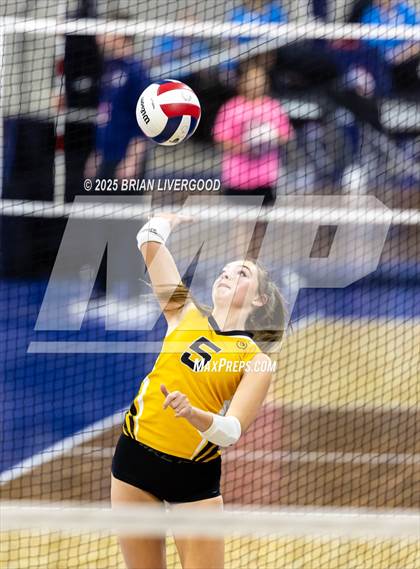 Thumbnail 3 in Sargent vs. Hi-Plains (CHSAA 1A First Round) photogallery.