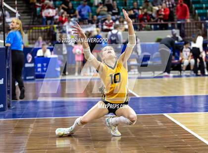 Thumbnail 1 in Sargent vs. Hi-Plains (CHSAA 1A First Round) photogallery.