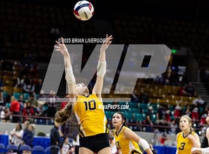 Thumbnail 1 in Sargent vs. Hi-Plains (CHSAA 1A First Round) photogallery.