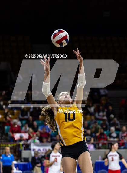 Thumbnail 2 in Sargent vs. Hi-Plains (CHSAA 1A First Round) photogallery.