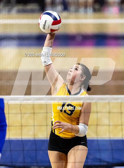 Thumbnail 1 in Sargent vs. Hi-Plains (CHSAA 1A First Round) photogallery.