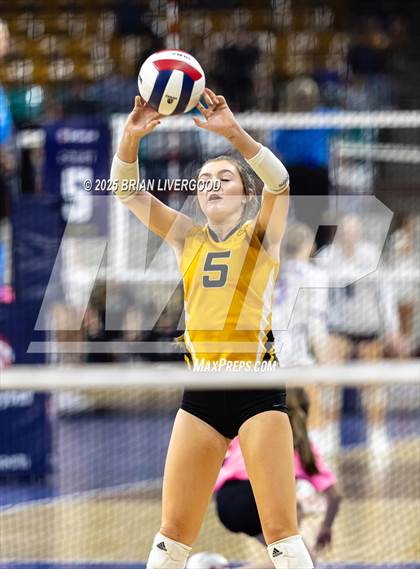 Thumbnail 1 in Sargent vs. Hi-Plains (CHSAA 1A First Round) photogallery.