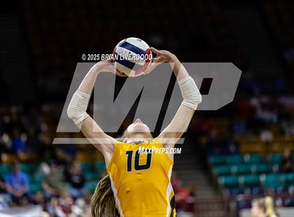 Thumbnail 3 in Sargent vs. Hi-Plains (CHSAA 1A First Round) photogallery.