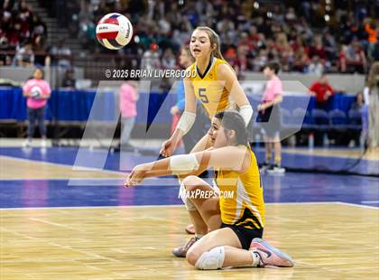 Thumbnail 1 in Sargent vs. Hi-Plains (CHSAA 1A First Round) photogallery.