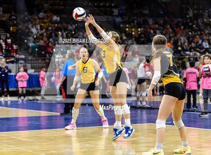 Thumbnail 1 in Sargent vs. Hi-Plains (CHSAA 1A First Round) photogallery.