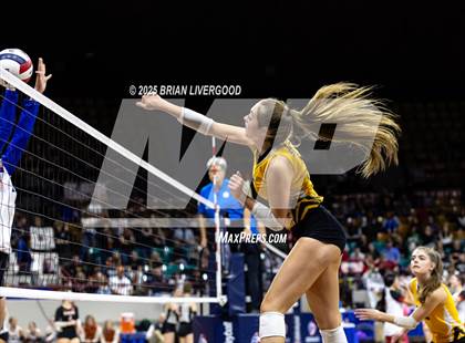 Thumbnail 3 in Sargent vs. Hi-Plains (CHSAA 1A First Round) photogallery.