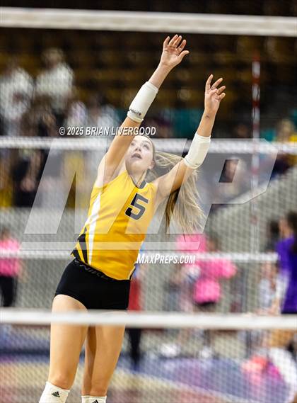 Thumbnail 3 in Sargent vs. Hi-Plains (CHSAA 1A First Round) photogallery.