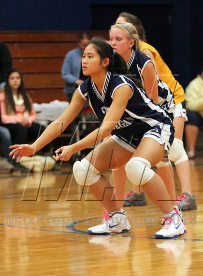 Thumbnail 1 in Coginchaug Regional @ Morgan photogallery.
