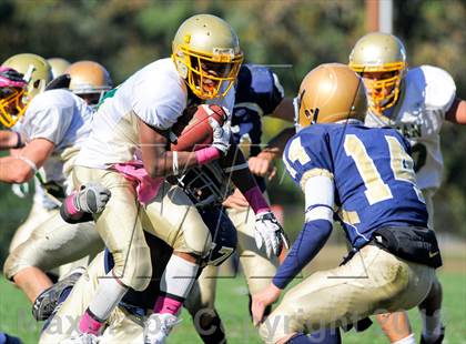 Thumbnail 3 in Bishop Feehan @ Coyle-Cassidy photogallery.