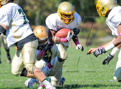Thumbnail 1 in Bishop Feehan @ Coyle-Cassidy photogallery.