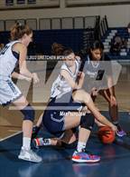 Photo from the gallery "Immaculate @ Wilton"