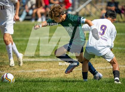 Thumbnail 3 in Fort Collins @ Pine Creek photogallery.