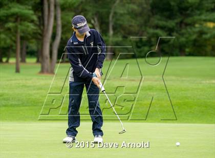 Thumbnail 1 in Dedham @ Needham photogallery.
