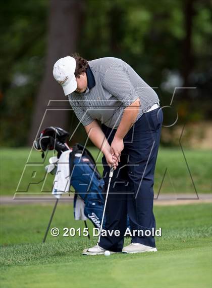Thumbnail 2 in Dedham @ Needham photogallery.