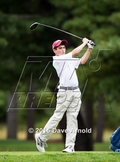 Thumbnail 1 in Dedham @ Needham photogallery.
