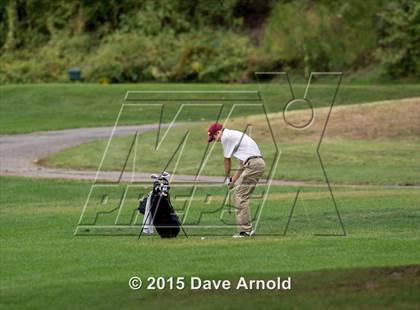 Thumbnail 3 in Dedham @ Needham photogallery.