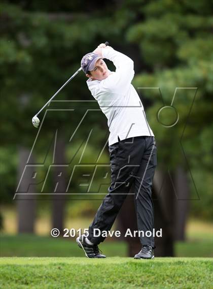 Thumbnail 2 in Dedham @ Needham photogallery.