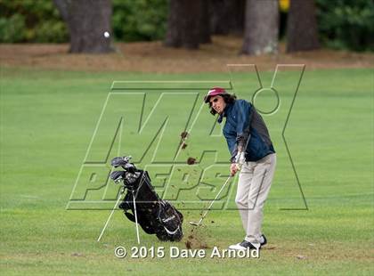 Thumbnail 1 in Dedham @ Needham photogallery.