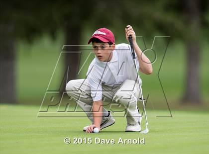 Thumbnail 1 in Dedham @ Needham photogallery.