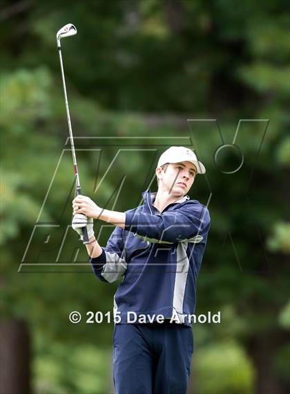 Thumbnail 1 in Dedham @ Needham photogallery.