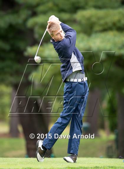 Thumbnail 1 in Dedham @ Needham photogallery.